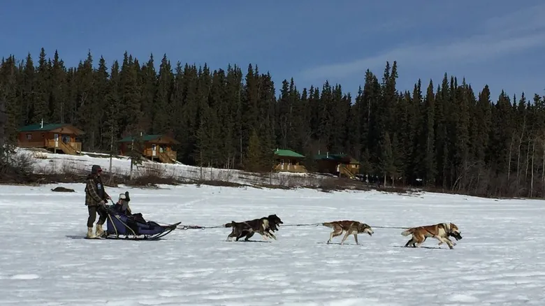 Aurora Boreal en Yukón: Guía Definitiva para Ver las Luces del Norte en Southern Lakes Resort