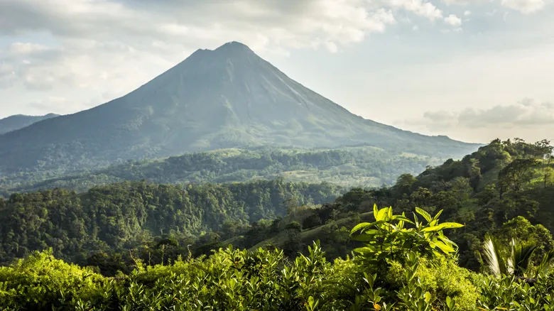 Avistamiento de Perezosos en Costa Rica: Experiencia Inolvidable en el Sendero Bogarín, La Fortuna