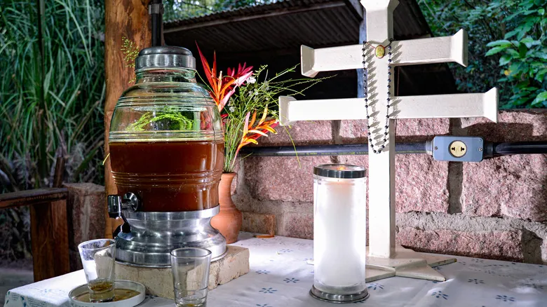 Ayahuasca: Guía Esencial para una Experiencia Segura y Genuina