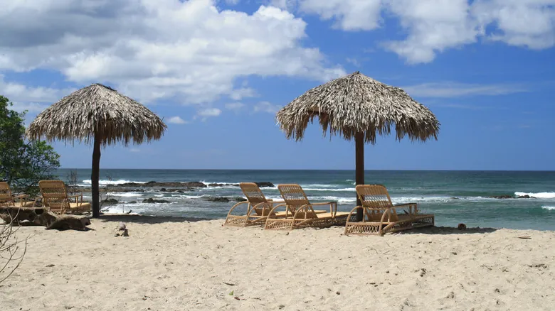 Black Stallion Eco Park: Aventuras Inolvidables en Guanacaste, Costa Rica