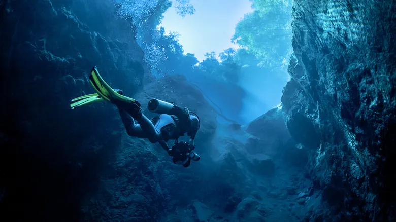 Buceo en Cenotes de México: Una Guía Completa para Explorar el Inframundo Maya