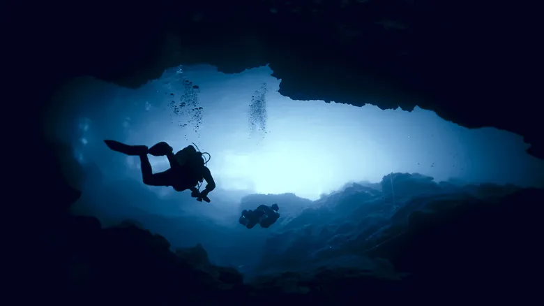 Buceo en Cenotes de México: Una Guía Completa para Explorar el Inframundo Maya
