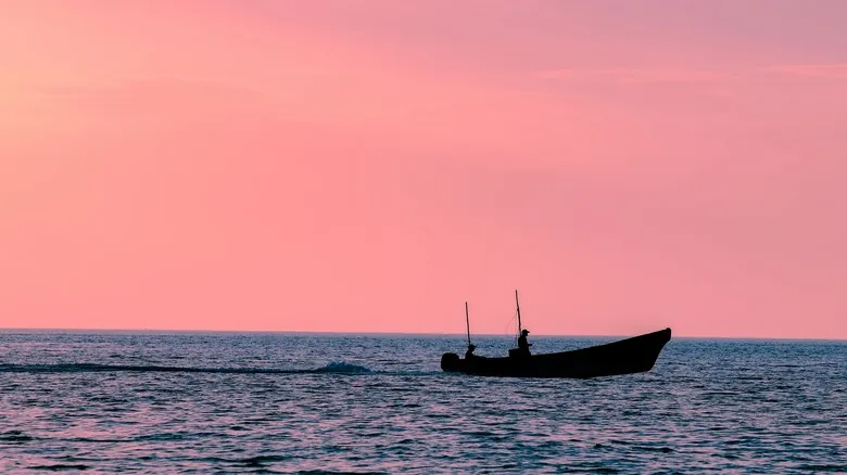 Celestún, Yucatán: El Paraíso Secreto de los Flamencos Rosados en México