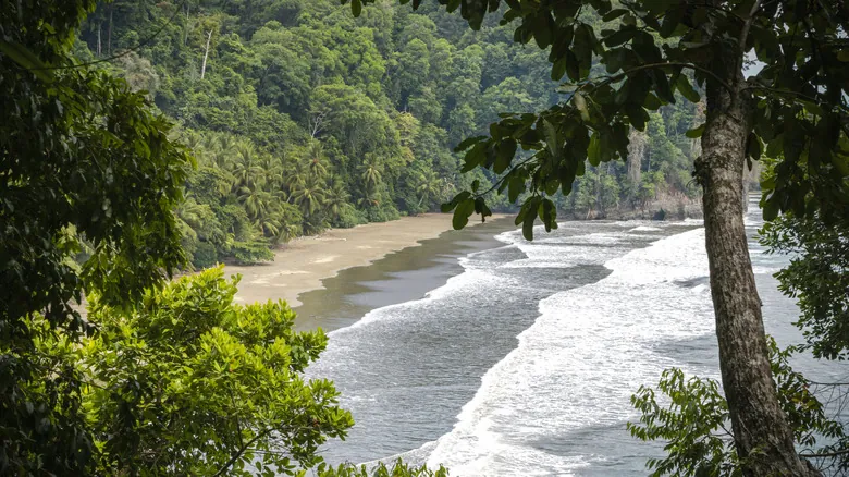 Costa Rica: El Santuario 'Pura Vida' Donde Rick Steves Descubrió la Desconexión y la Naturaleza