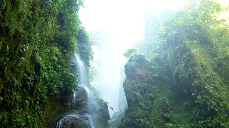 Descubre el Cañón Jurásico Escondido de Costa Rica: Un Paraíso de Cascadas Inexploradas