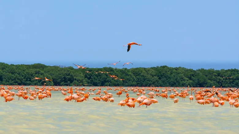 Descubre la Costa Esmeralda de Yucatán: Un Paraíso Tranquilo Lejos del Bullicio de Cancún