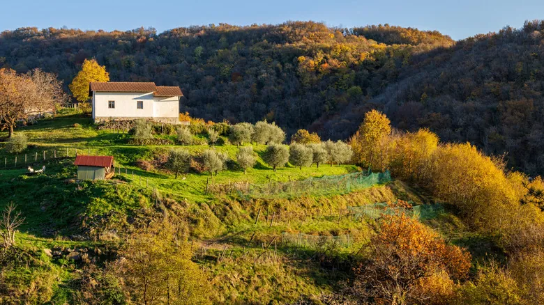 Descubre la Gastronomía Rural de Eslovenia: Una Experiencia Inolvidable en Granjas Turísticas