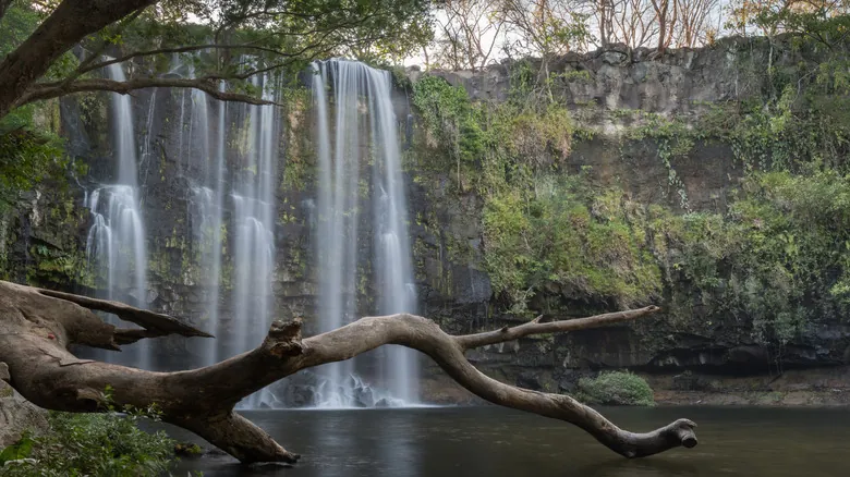 Descubre Llanos de Cortés: La Impresionante Catarata Paradisíaca de Costa Rica