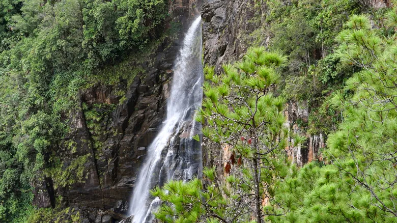 Descubre Thousand Foot Falls: La Majestuosa Cascada de Belice y la Aventura en la Reserva Mountain Pine Ridge