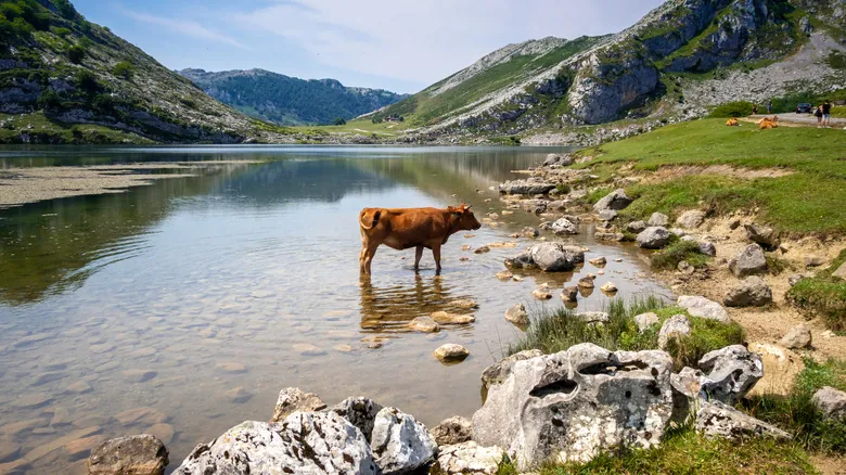 Explorando la Diversidad Geográfica de Europa: Un Viaje por sus Naciones Más Extensas