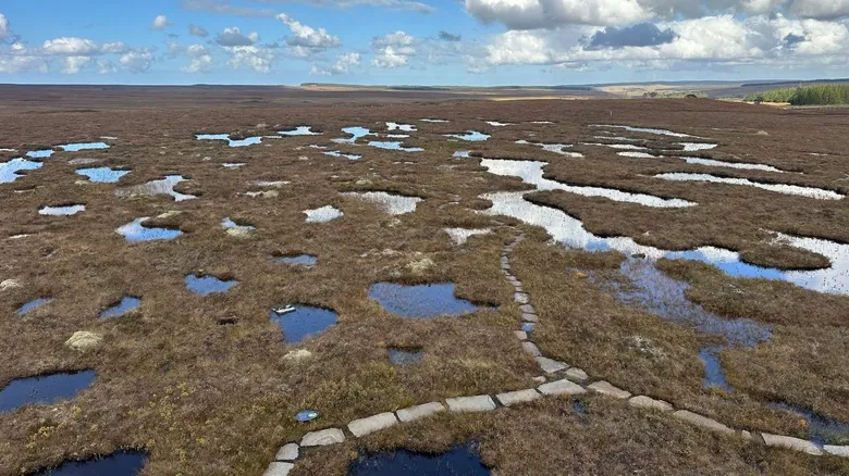 Flow Country, Escocia: La Majestuosa Turbera Patrimonio Mundial y su Importancia Climática