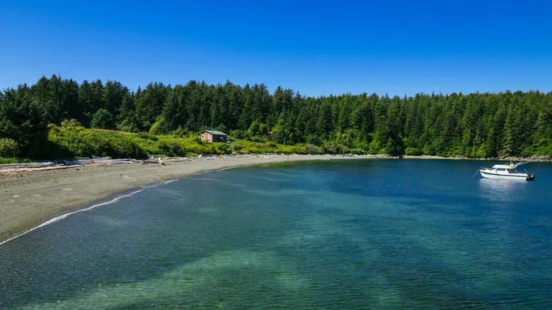 Isla Nootka: Descubre el Tesoro Escondido y Salvaje de Columbia Británica