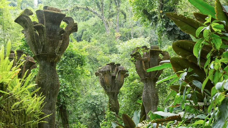 Las Pozas: El Jardín Escultórico Surrealista Escondido en la Jungla Mexicana