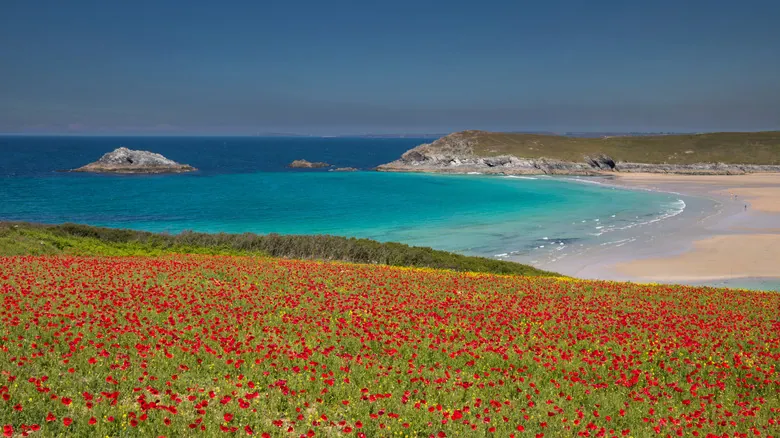 Newquay: Capital del Surf en Cornwall y Destino Imprescindible en el Reino Unido