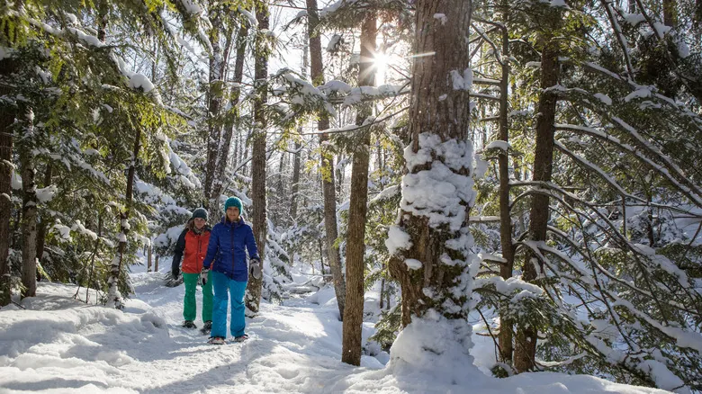 Niágara en Invierno: La Guía Definitiva para una Aventura Mágica y Memorable