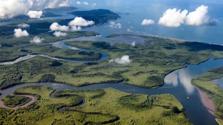 Palmar Sur, Costa Rica: La Joya Escondida para una Exploración de Biodiversidad Inolvidable