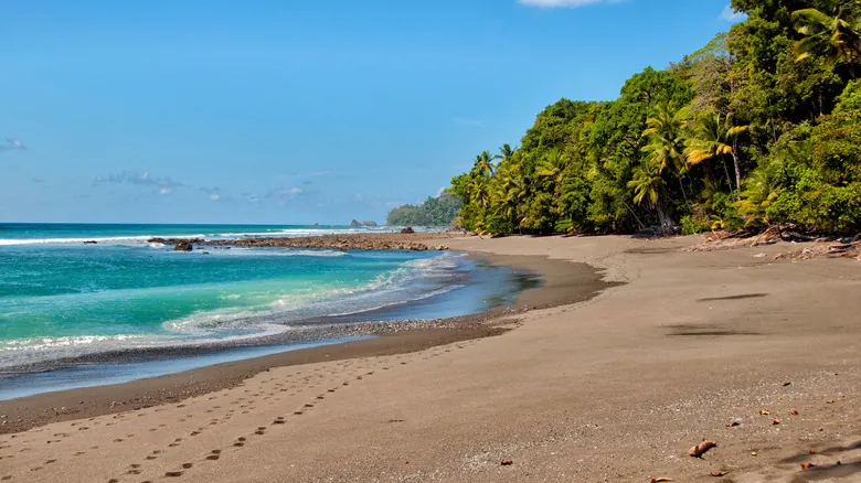 Palmar Sur, Costa Rica: La Joya Escondida para una Exploración de Biodiversidad Inolvidable