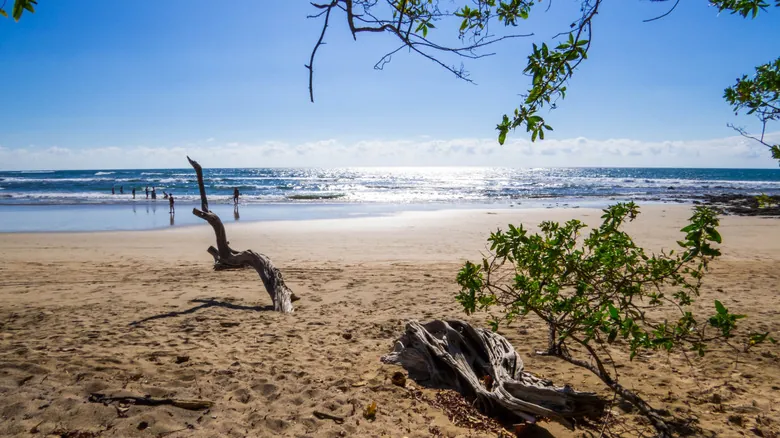 Playa Avellanas: Tu Paraíso Escondido para Surf y Tranquilidad en Costa Rica
