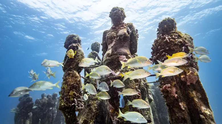 Playa Delfines: Descubre el Paraíso Sereno y las Joyas Ocultas de Cancún Más Allá de la Fiesta