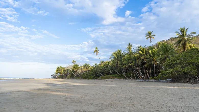 Playas Secretas de Costa Rica: Escapadas Paradisiacas Lejos del Bullicio Turístico