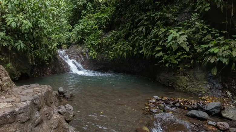 Rainmaker Park: Biodiversidad Exuberante y Aventura en el Corazón de Costa Rica