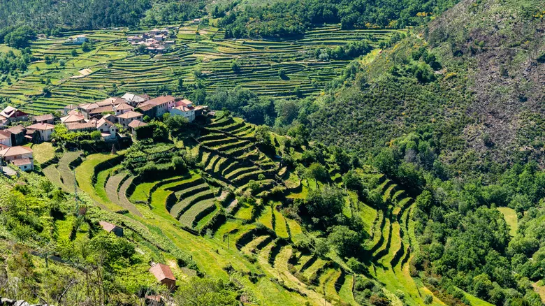 Sistelo: Descubre el 'Pequeño Tíbet Portugués' y Sus Terrazas Ancestrales