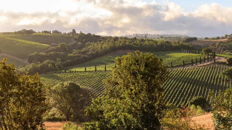 Val d'Orcia: Descubre el Tesoro Escondido de la Toscana, Paisaje UNESCO y Sabores Ancestrales