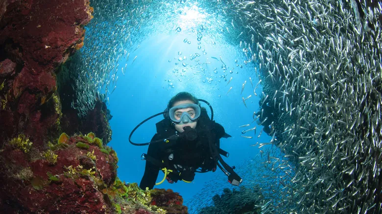 Viajar Sola: ¿Caribe o Centroamérica? La Guía Definitiva para Mujeres Aventureras