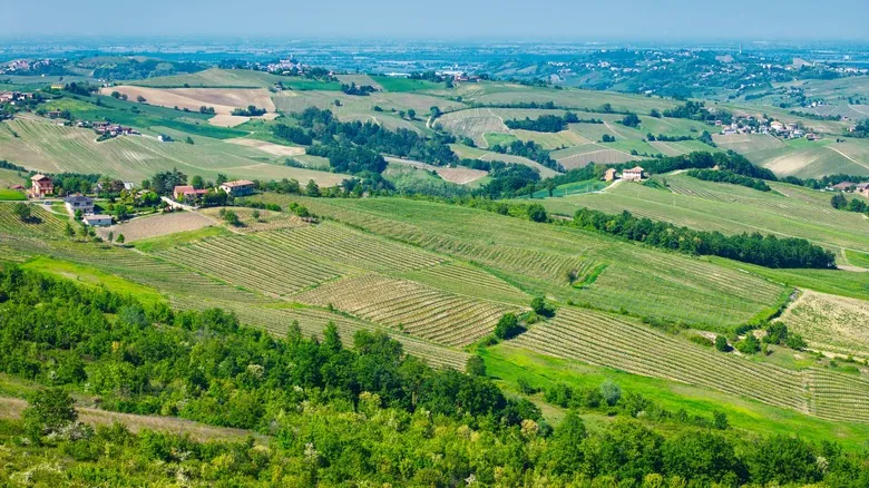 Voghera: Un Tesoro Escondido en Lombardía y Puerta al Oltrepò Pavese