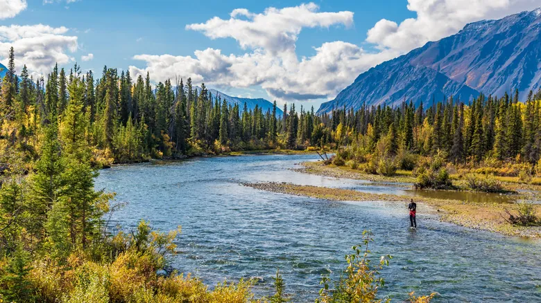 Whitehorse, Yukón: Puerta de Entrada a Aventuras Inolvidables en el Norte Canadiense