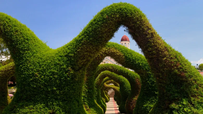 Zarcero, Costa Rica: Descubre el Asombroso Jardín Topiario y el Legado de su Creador
